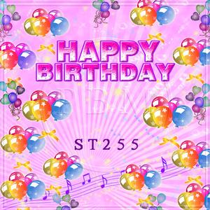 5'x8' ST255
